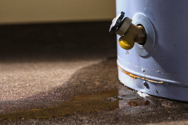 Best Carpet water damage restoration  in Bexley, OH