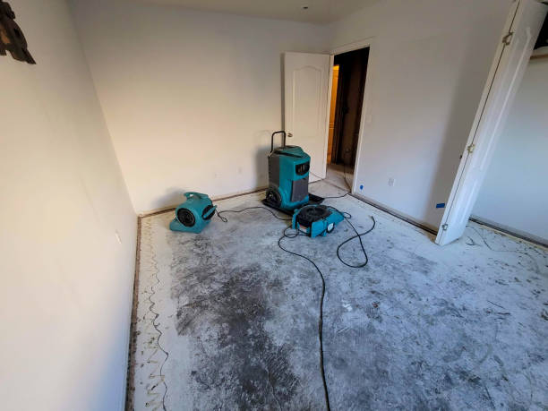 Best Emergency water damage restoration  in Bexley, OH