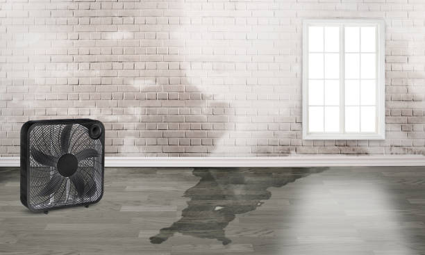 Best 24/7 water damage repair  in Bexley, OH