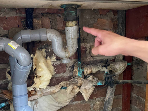 Best Emergency water extraction  in Bexley, OH