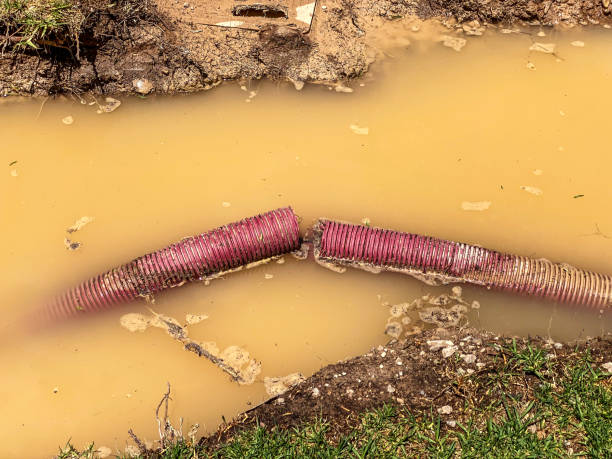 Best Local water damage restoration  in Bexley, OH