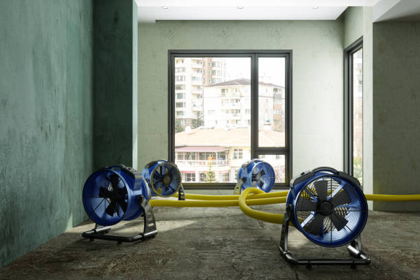 Best Ceiling water damage repair  in Bexley, OH